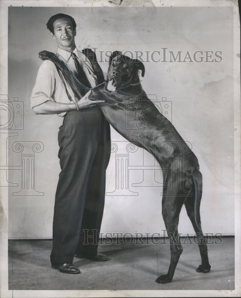 1947 Press Photo The domestic dog Carnivora