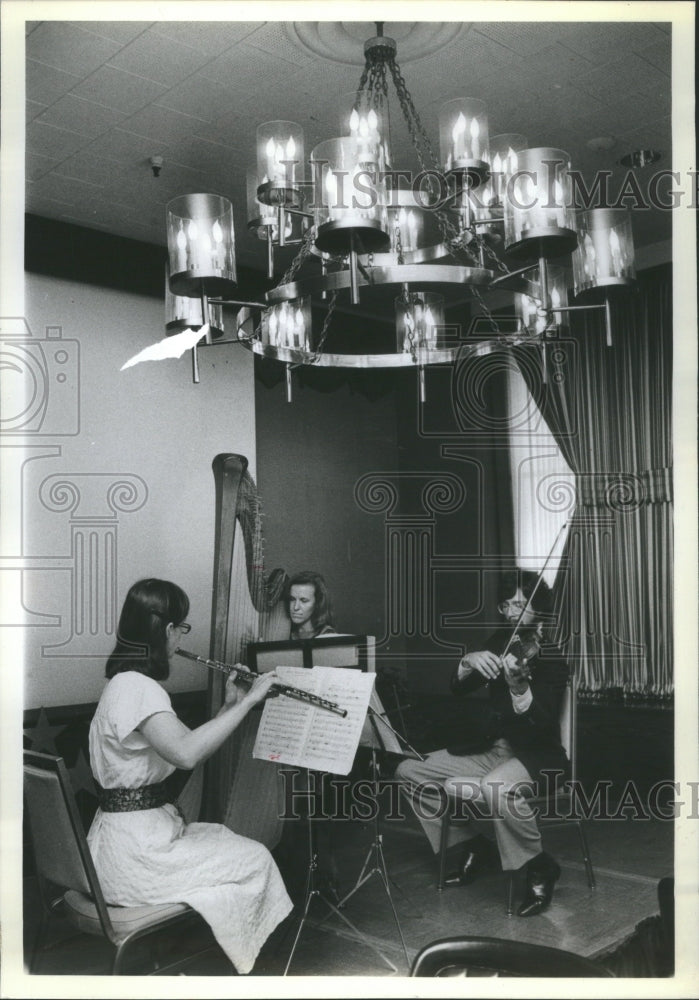 1981 Press Photo Illinois Orchestra Perform Lunch