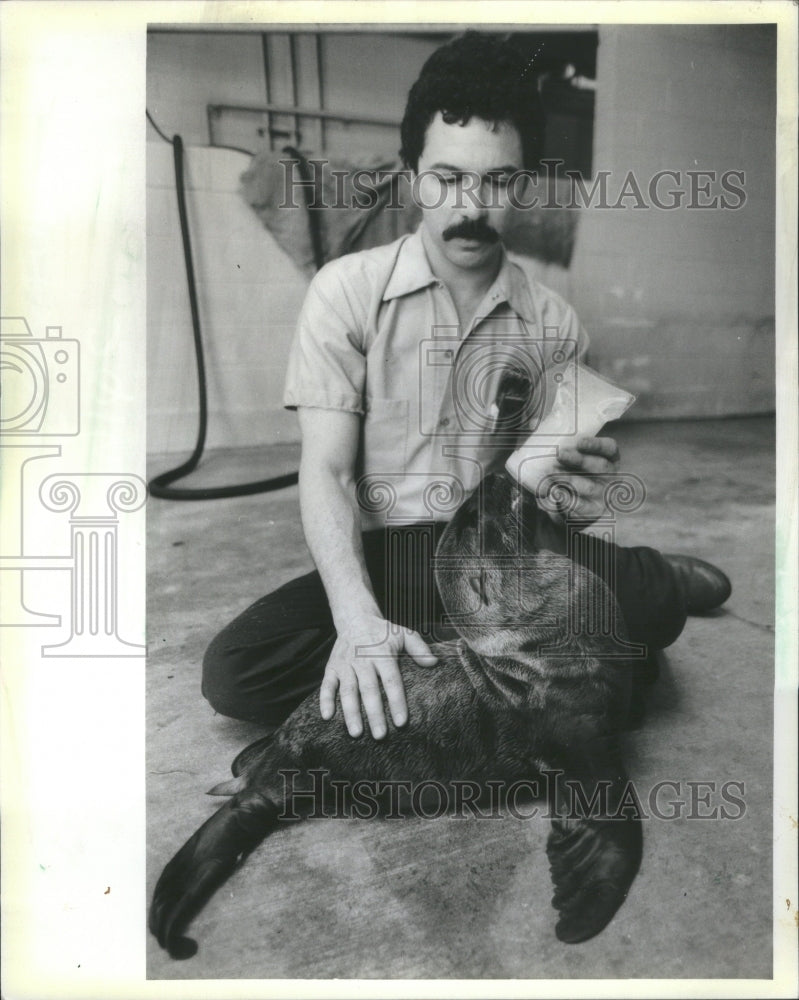 1986 Press Photo Rocky Sea Pup Nursed Bottle Fontanetta