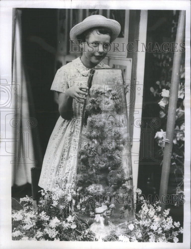 1955 Press Photo Susan Walk Australian Native Flowers