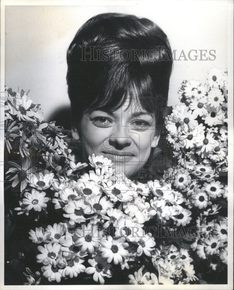 1969 Press Photo Lovely Catherine Burba Cineraria Bloom