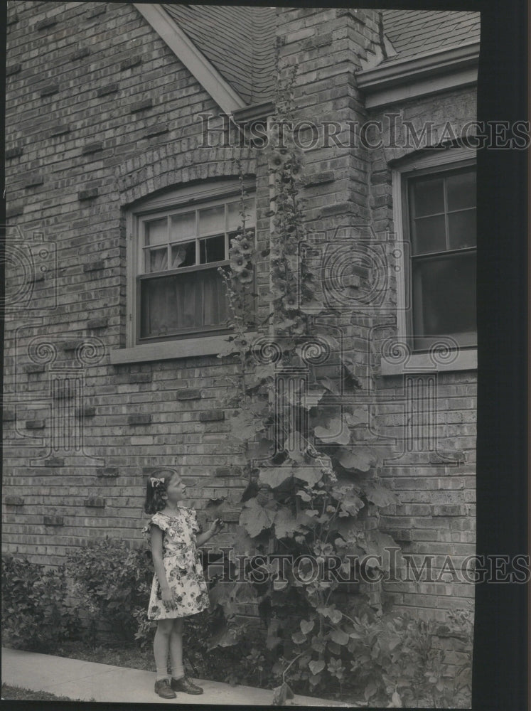 1945 Press Photo Nancy Colburn N Lincoln av Park Hollyh