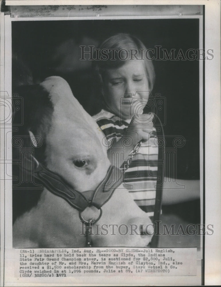 1971 Press Photo Juli English Tries Tears Clyde Horse