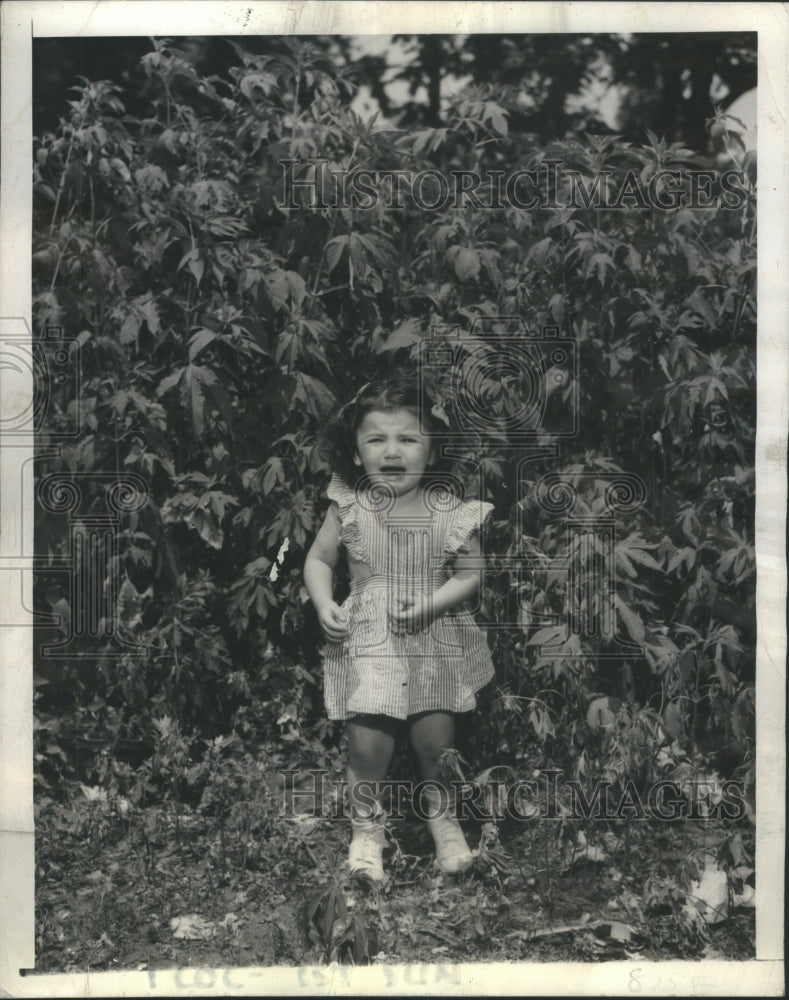 1944 Press Photo Carol Ann Cooper Ragweed Field Crying