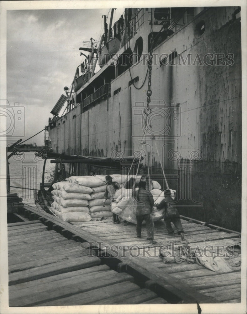 1946 Press Photo Wheat Grass Fertile East Production