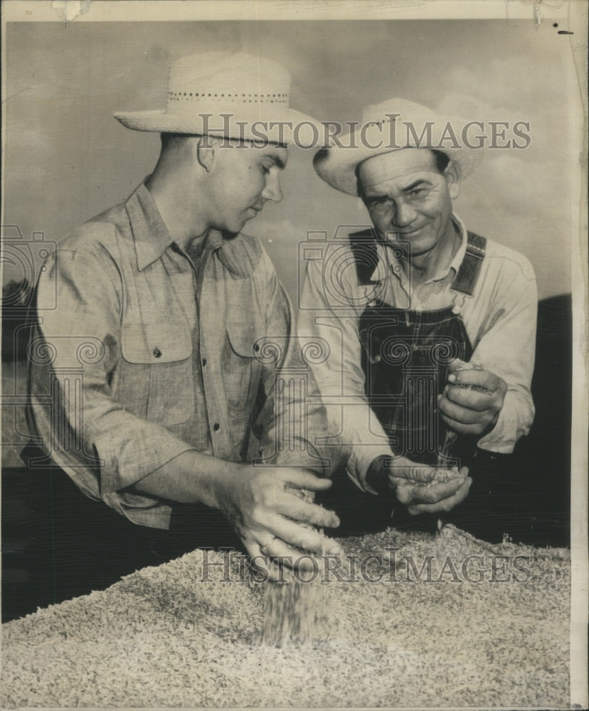 1949 Texas Winter Wheat Hartmangruber Farm - Historic Images