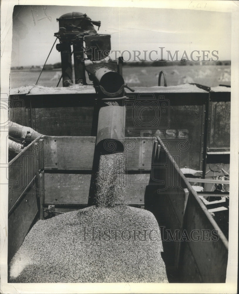 1939 Press Photo Carries
