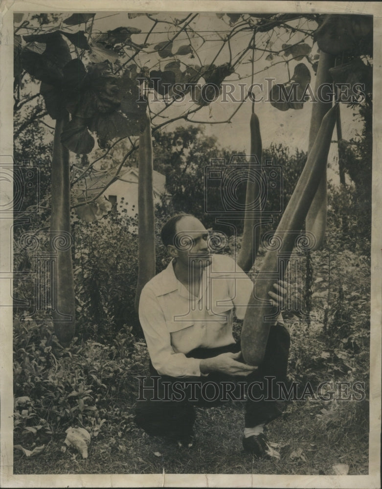 1987 Press Photo Modren Beans Heracher String Jack