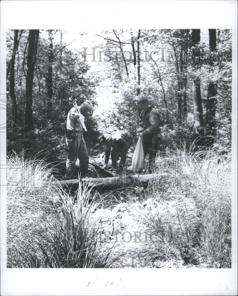 1965 Press Photo College Alma Research Working In Woods