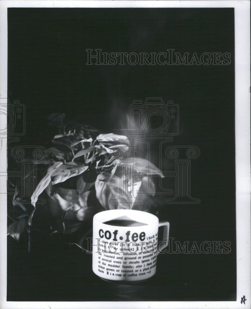 1980 Press Photo Promo Coffee in a Mug