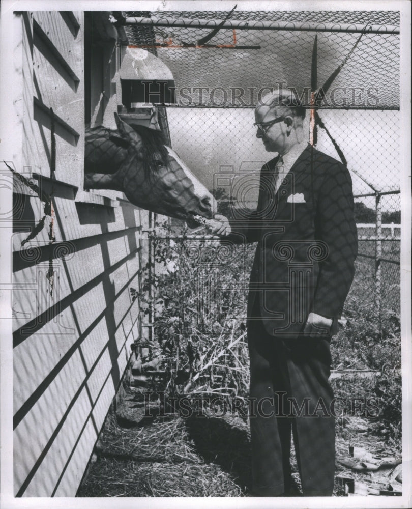 1961 Press Photo Azkar Horse Oakhlaedl Grass Gwich