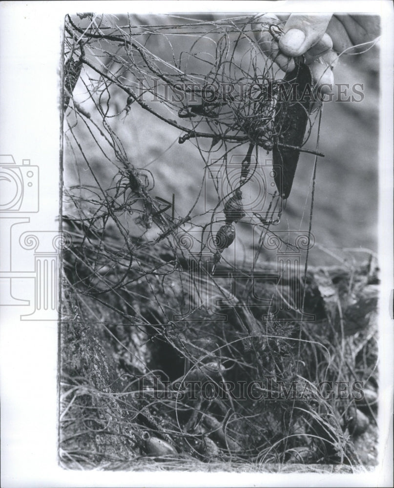 1978 Press Photo Foote Dam Pollution Cleanup