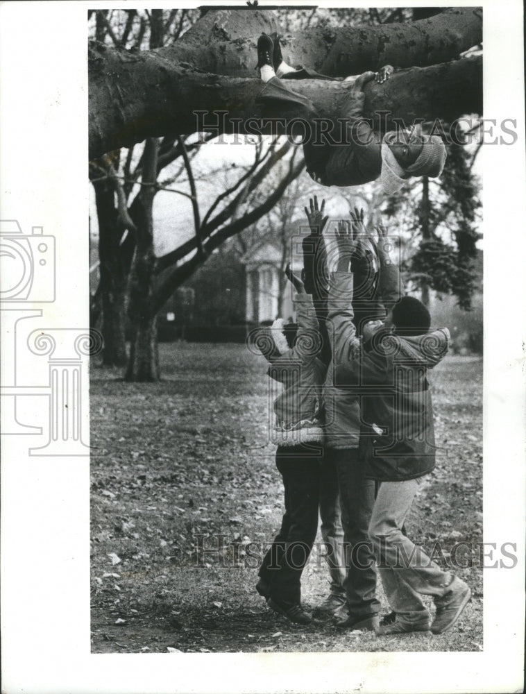 1980 Press Photo Cinnamon Tree Voight Park Bros Cousins