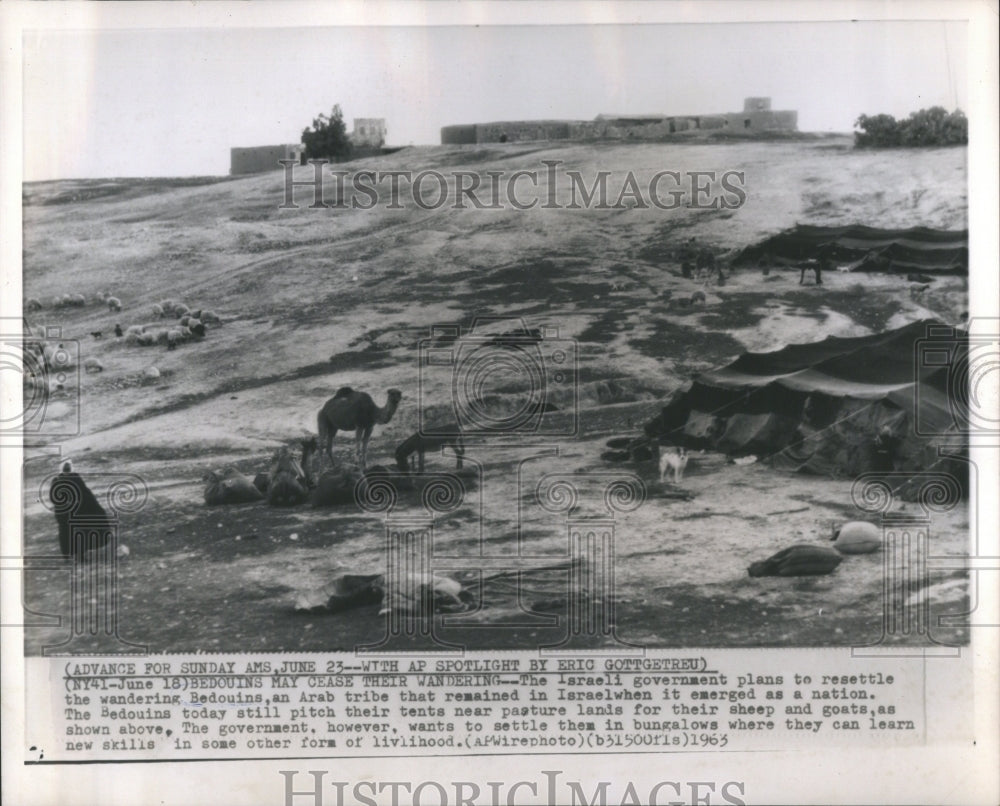 1963 Press Photo Bedouins May Cease Their Wandering