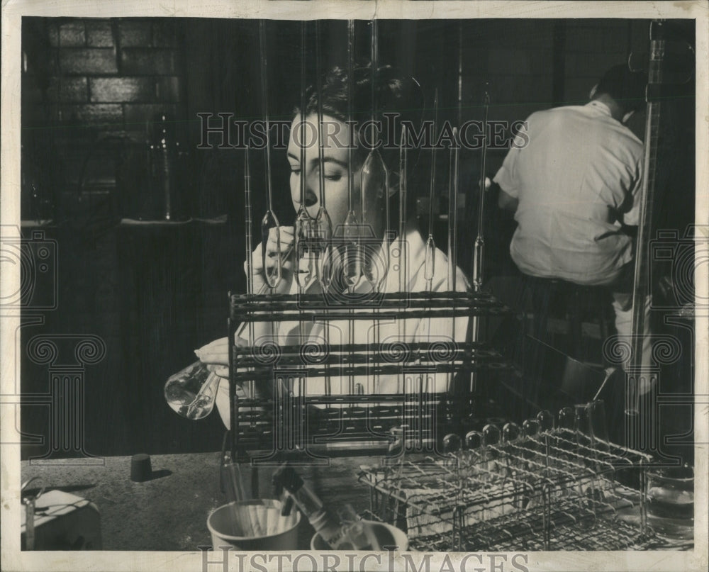 1947 Press Photo Bacteriology technician research lab