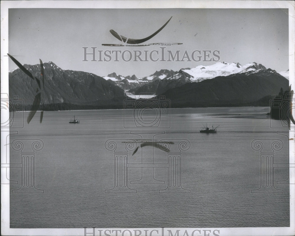 1950 Spectacular British Columbia Alaska - Historic Images