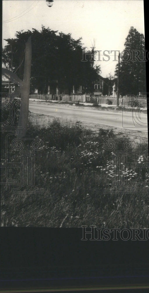 Press Photo Beautiful Garden Road Trees Park Animals Pe