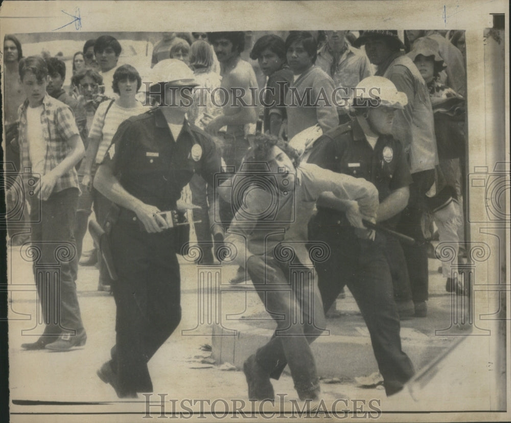 1969 Press Photo &#39;Rock&#39; festival