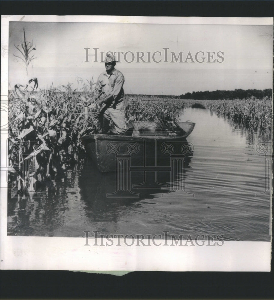 1961 Press Photo Flood EU Land Water User Farmer Corn