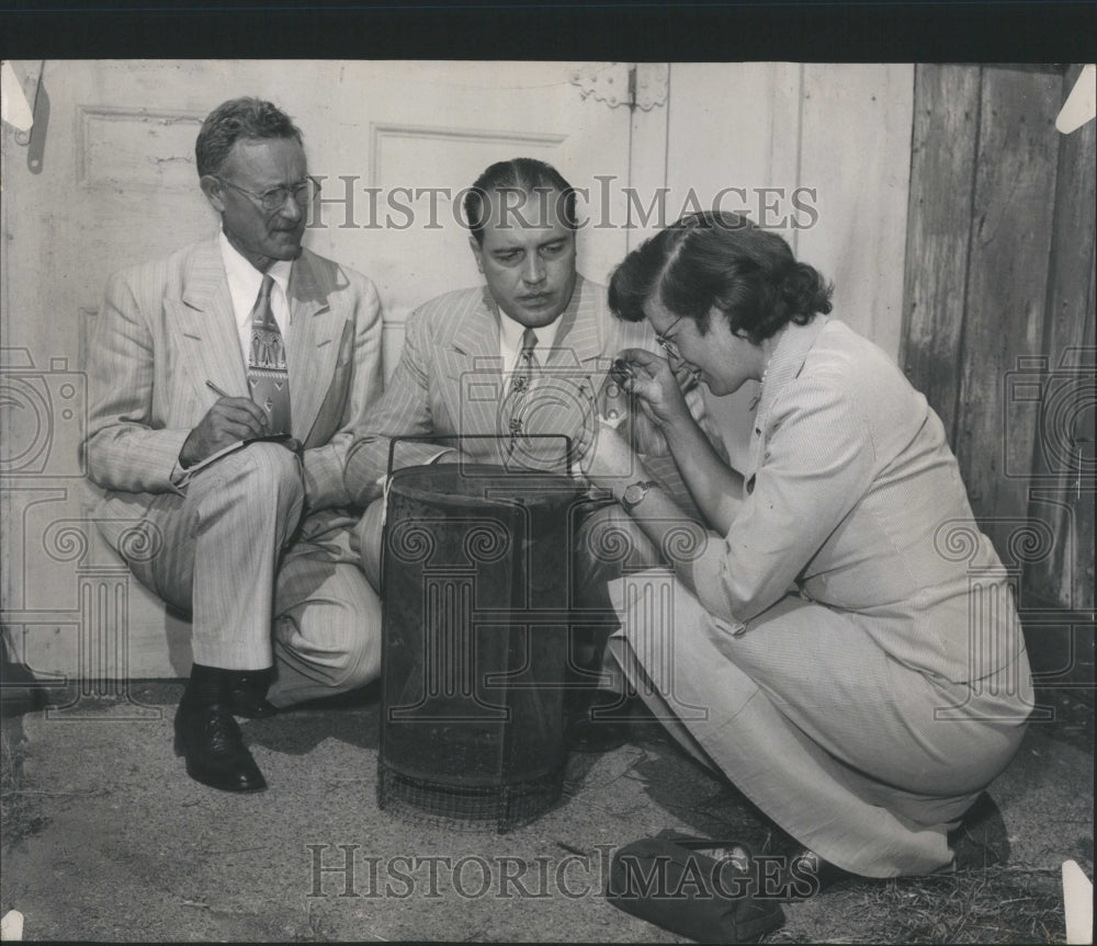 1949 Press Photo War Files Ald Allen Freeman Edne Demps