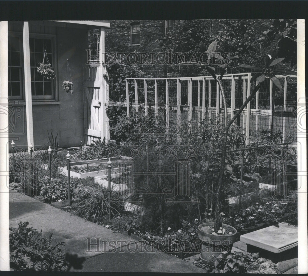 1970 Kurt Melzers Garden Grow Chives Leave  - Historic Images