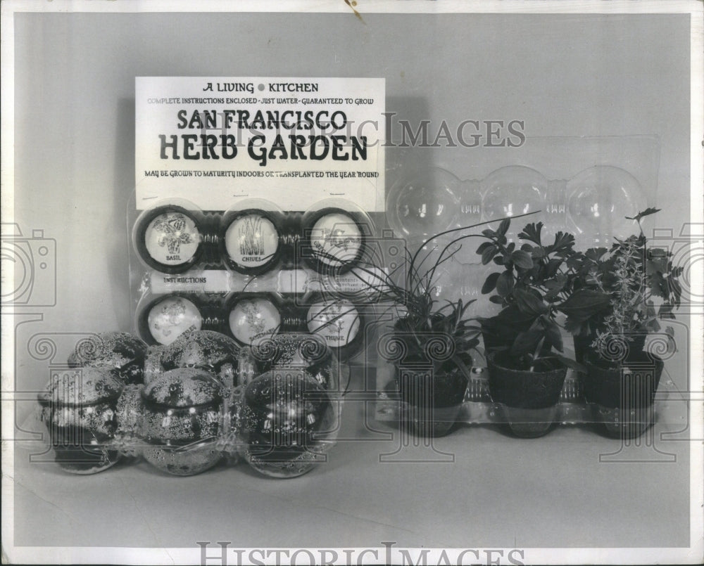 1970 Press Photo Herb Flavoor Scent Medicine Spiritual - Historic Images