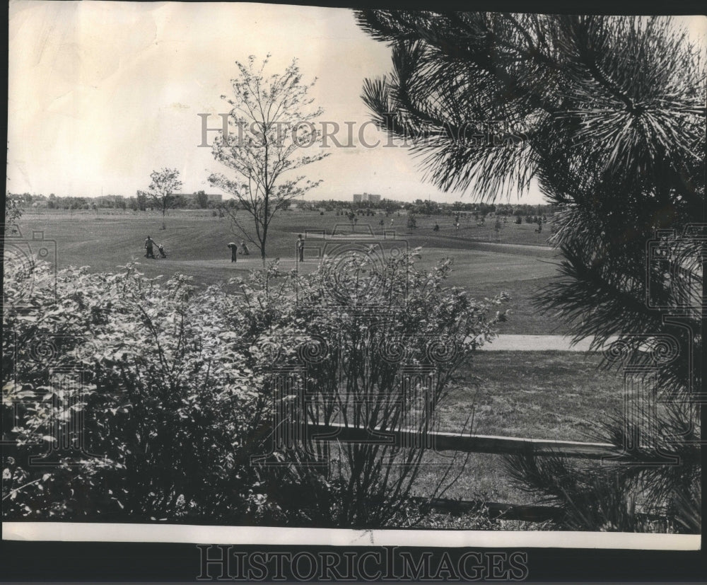 1976 Press Photo Golfers Cook County Forest Preserves