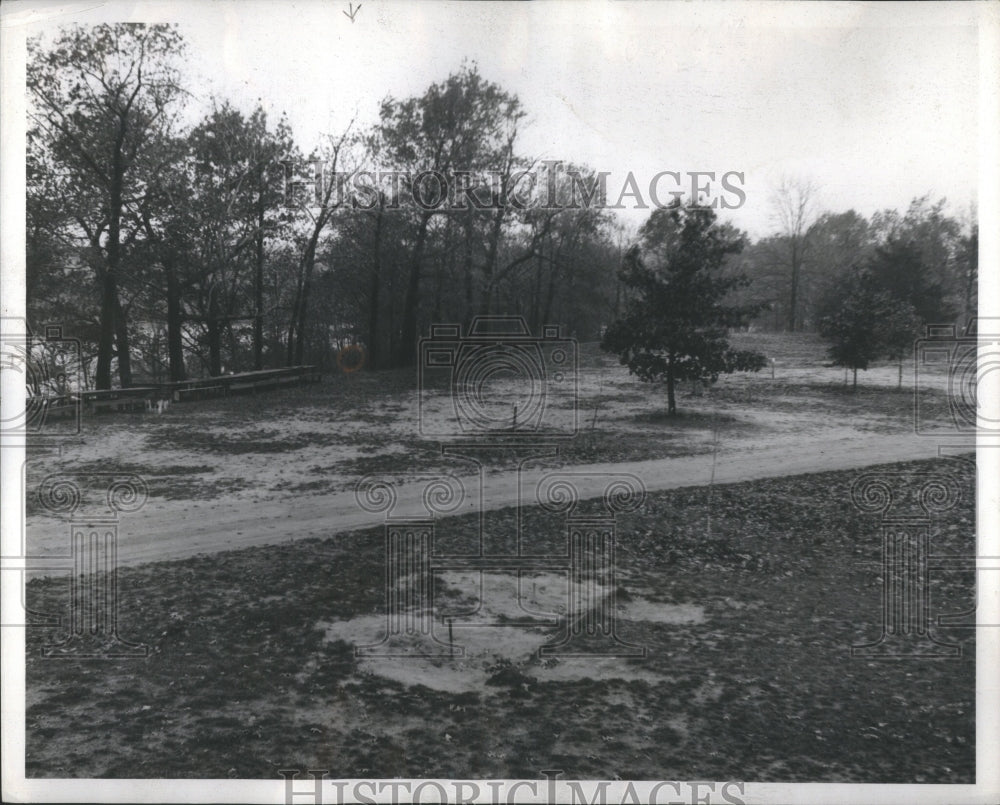 1961 Press Photo Hazing Second Tree Tent Dwellers Live