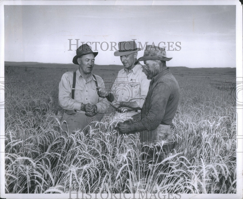 1948 Press Photo Tom Hanes Tom Campbell Wheat Fields