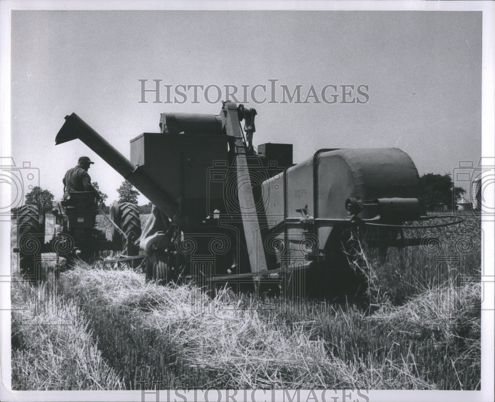 1958 Press Photo Huron County Wheat Field Sebewaing