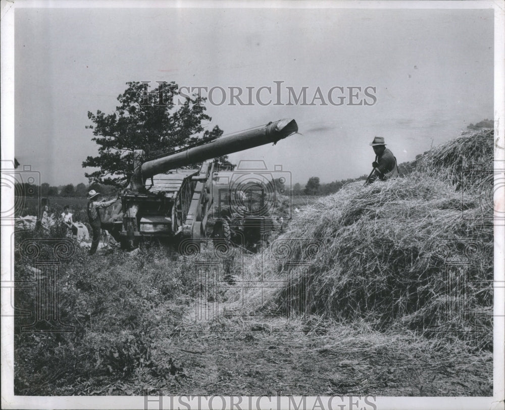 1947 Wheat Michigan - Historic Images