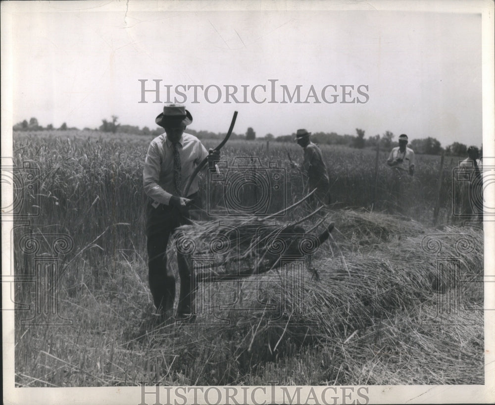 1946 Press Photo Wheat Grass Fertile Crescent Worldwide