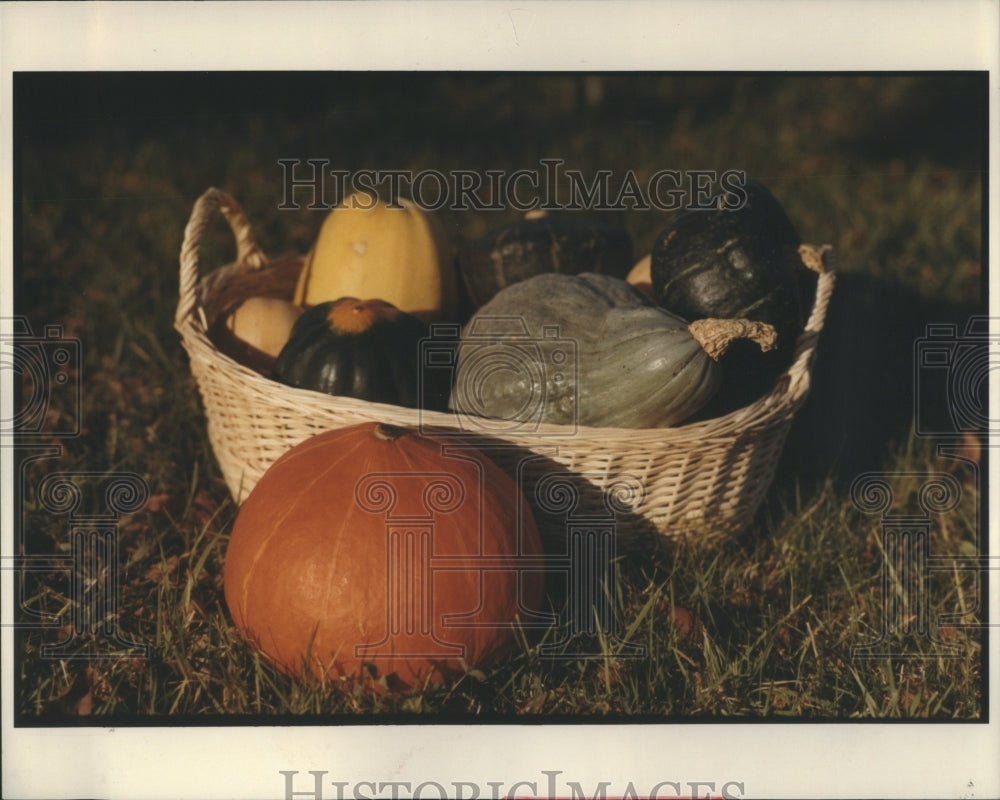 1982 Squash Vegetables - Historic Images