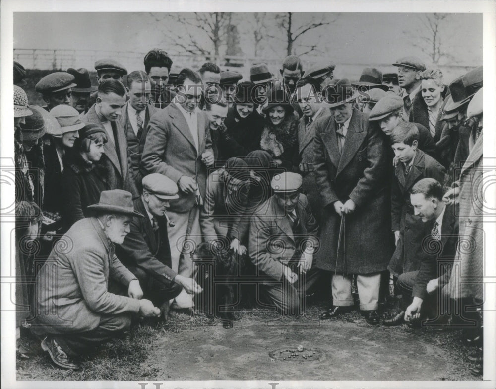 1934 Press Photo Easter Mardles Championship