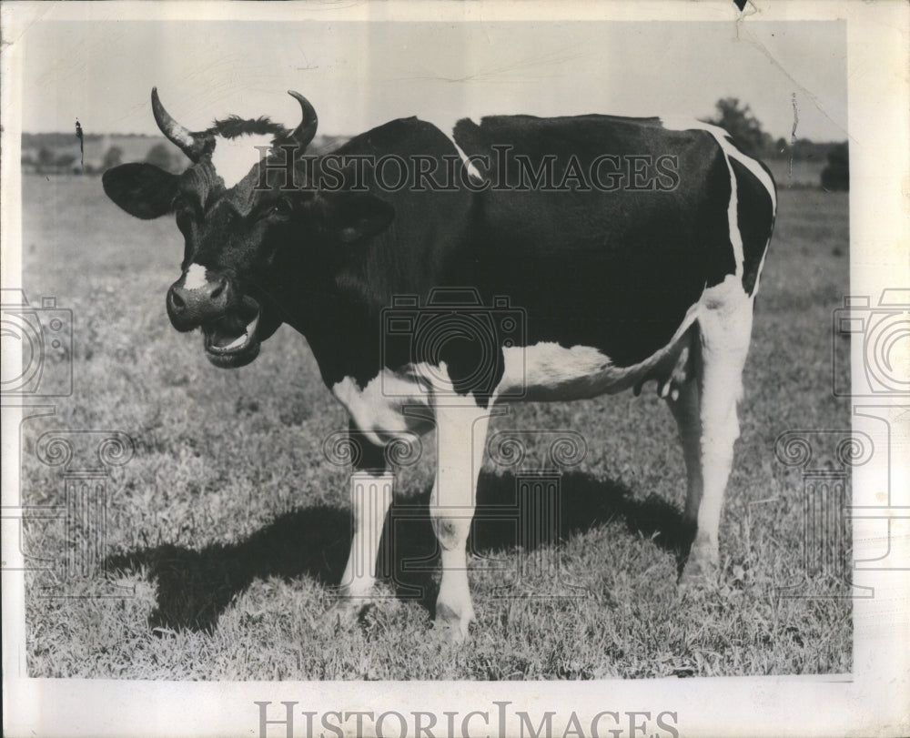 1949 Press Photo White Collar The American Middle Class