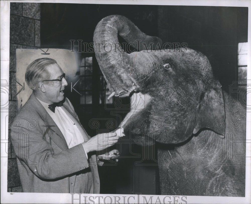 1954 Press Photo Frank MacInnis MES Holdings Emcor - Historic Images