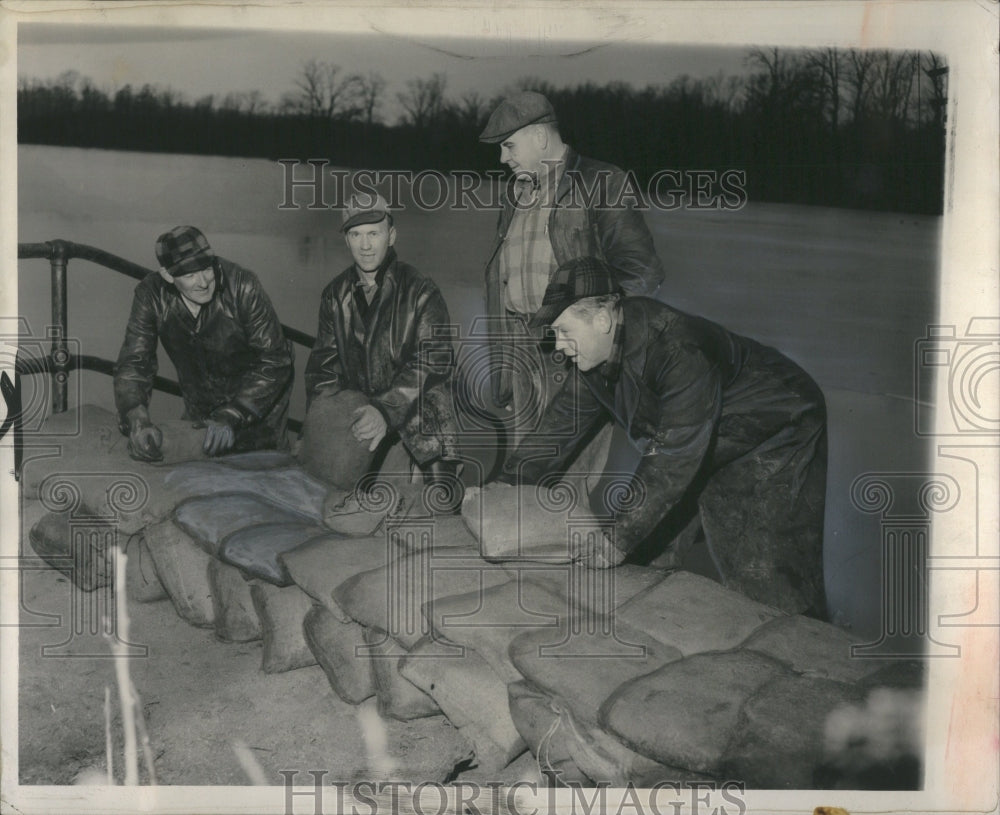 1954 Press Photo Men Lay Sand Bags Prevent Flood Damage