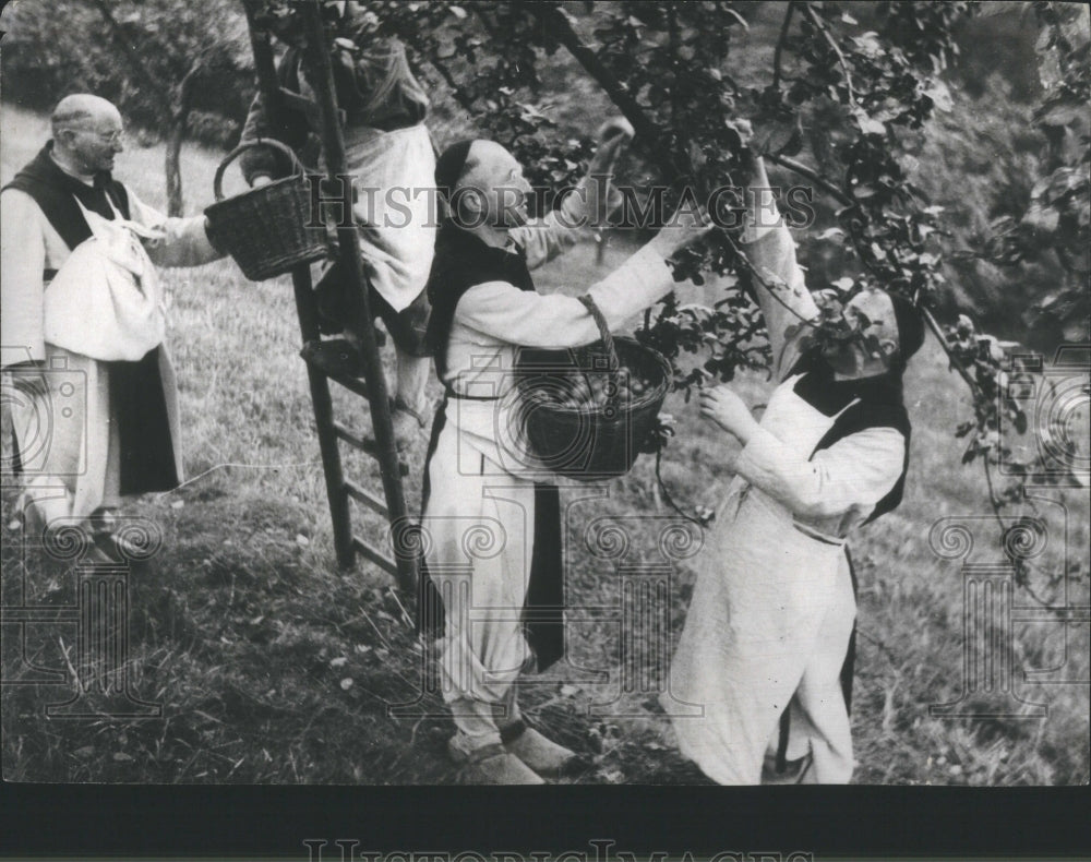 1932 Press Photo Trappists Monks Harvesting Fruit