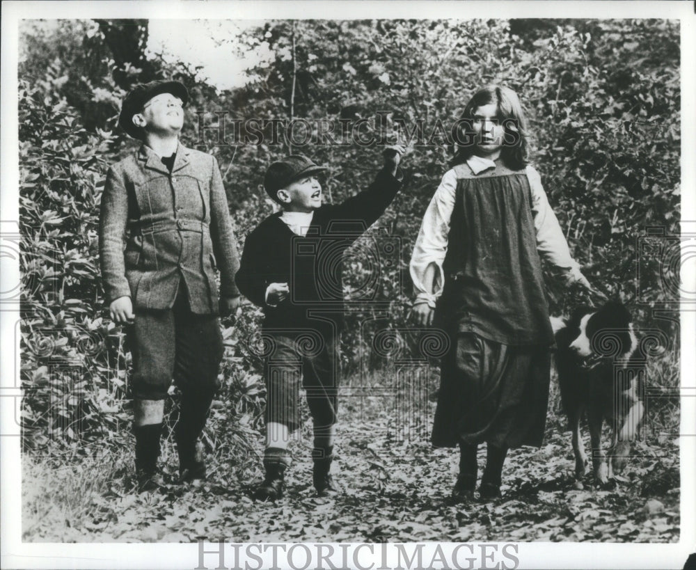 1977 Press Photo Great Day Bonzo Jullan Wedgery Nicky