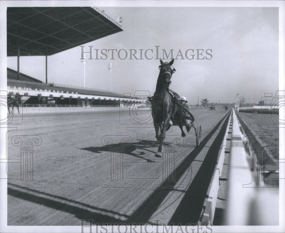 1957 Press Photo Mrs.James Fleming Harness Driver