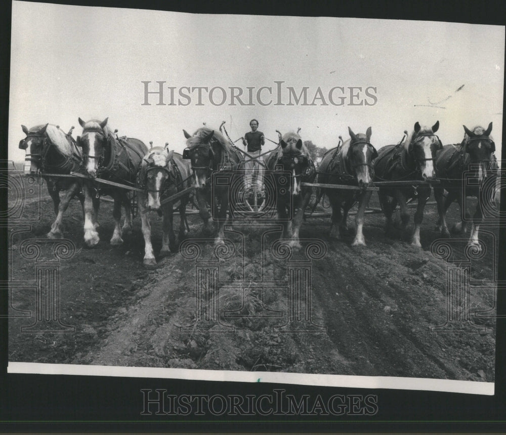 1977 Press Photo Amish Farmers Arthur Energy Save Horse