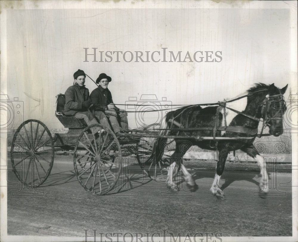 1950 Press Photo Arthur IL Amish Farmers Horse Cart