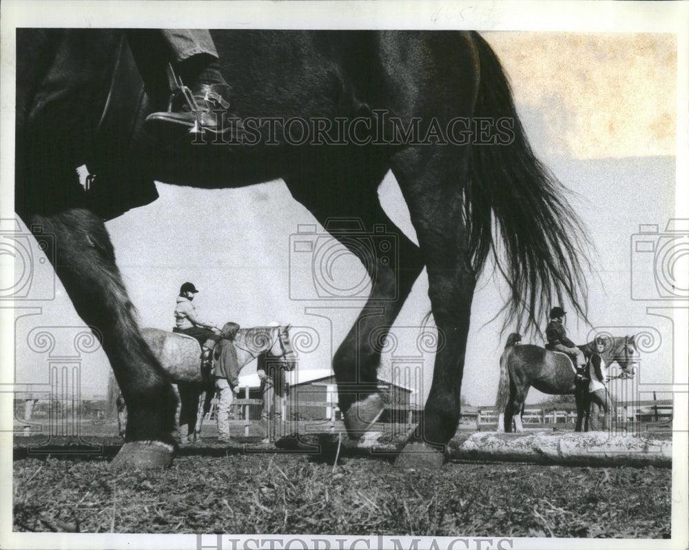 1982 Equestrian Center Helps Handicapped - Historic Images