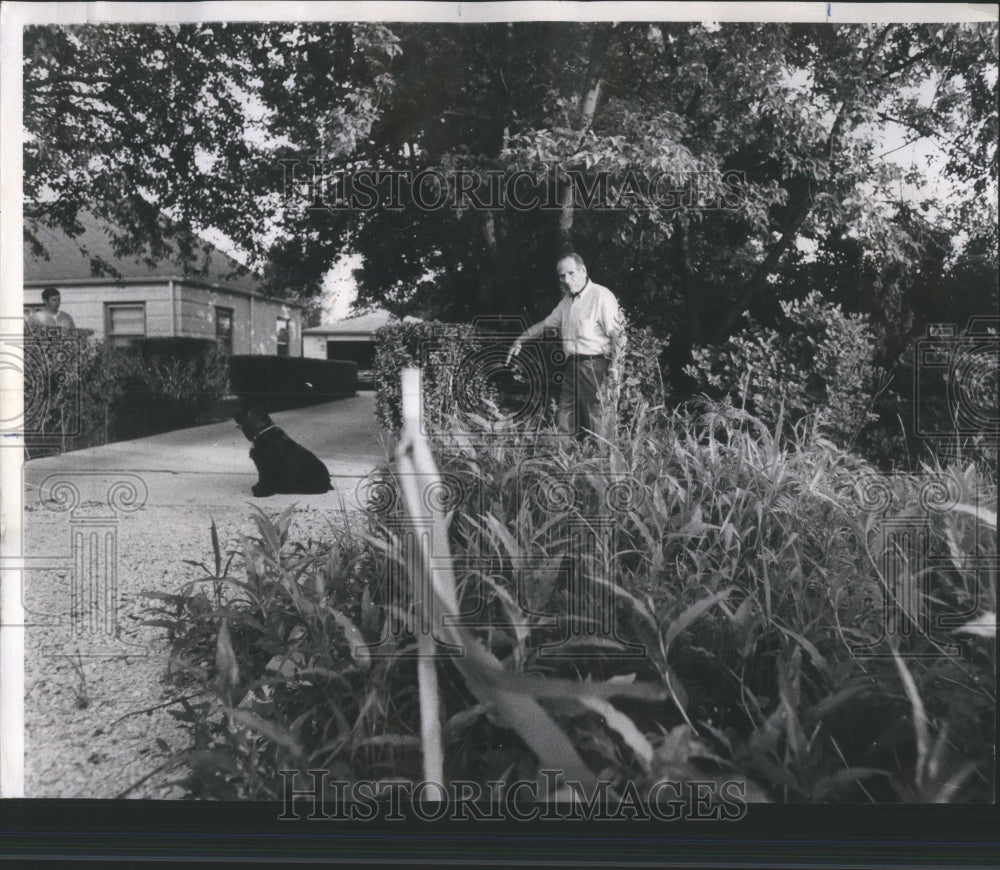 1970 Press Photo Des Plaines, Illinois Road Paving