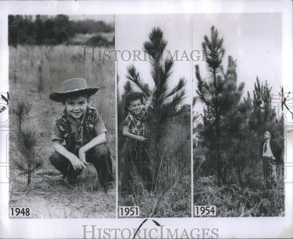 1954 Press Photo Boy Growth Pine Trees Opelika Wallace