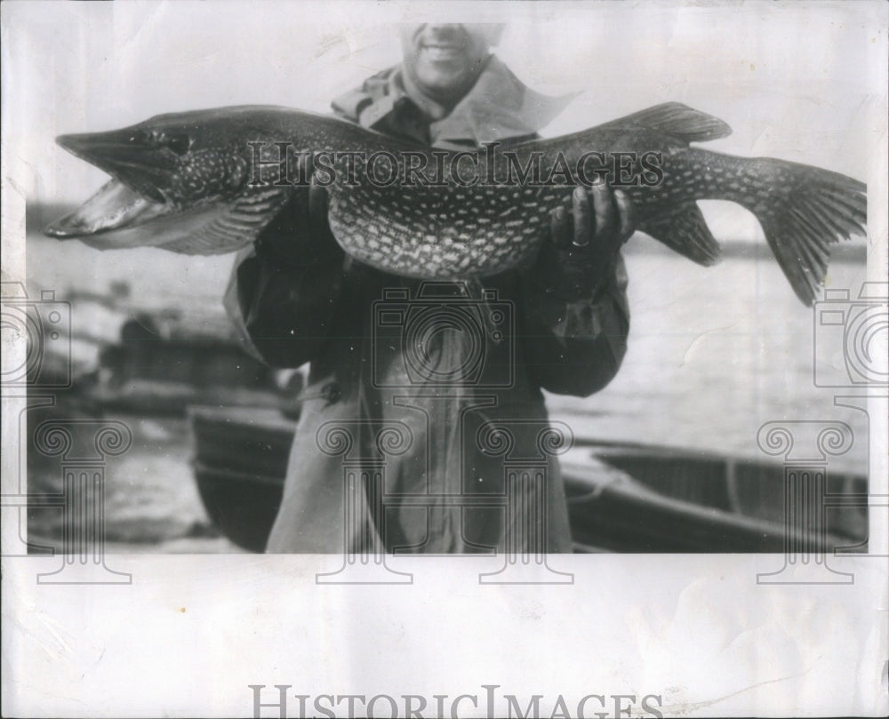 1951 Press Photo Man Fish Fishing Michigan Ocean