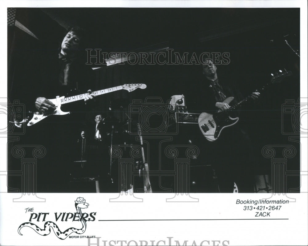 1994 Press Photo Pit Vipers American Rock Music Band