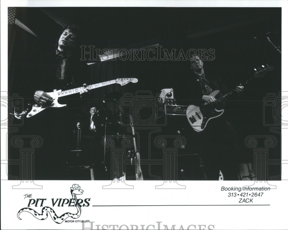 1993 Press Photo Pit Vipers American Music Rock Band