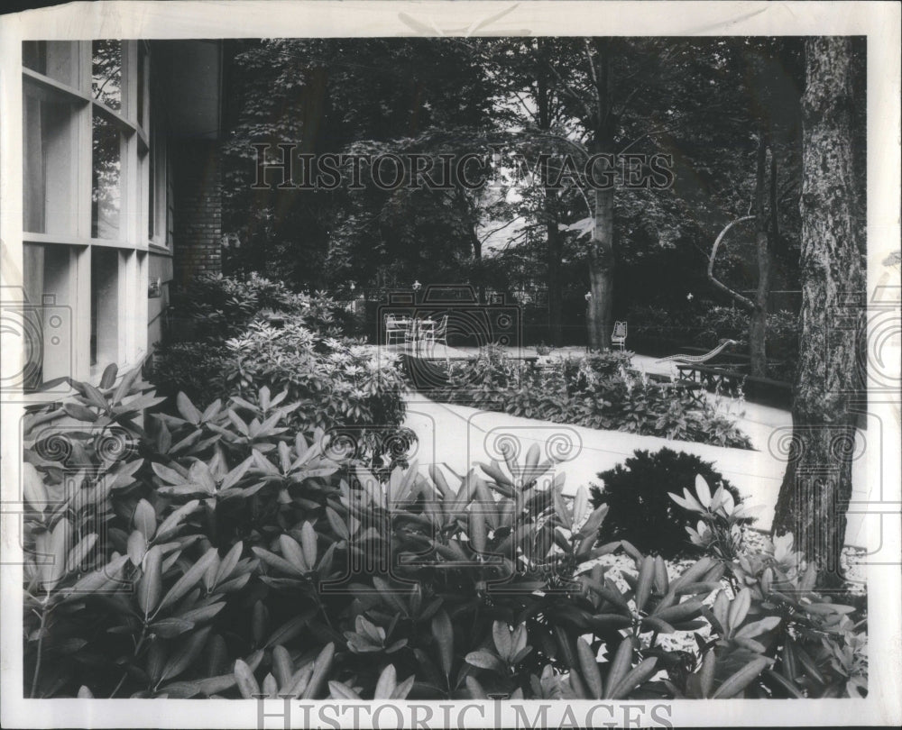 1962 Press Photo Plants Rhododanders Exibit Landmark