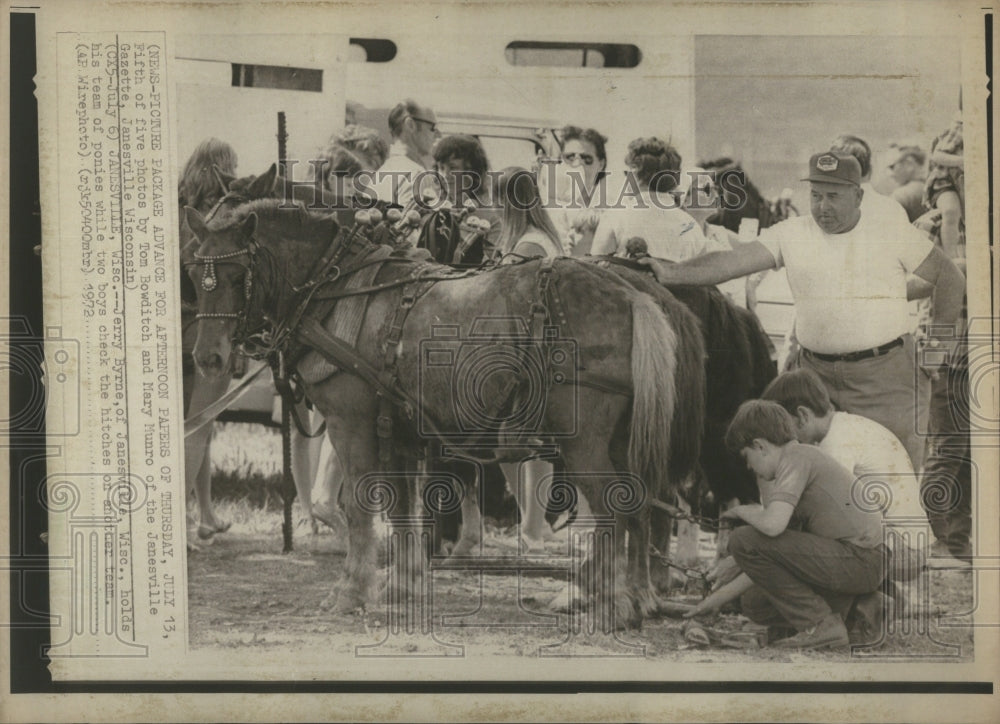 1972 Press Photo Horses